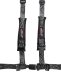 PRP 4.2 Harness
