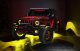 ORL Fog Light Assembly