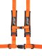 PRP 4.2 Harness