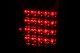 ANZ LED Taillights