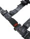 PRP 4.2 Harness