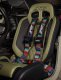 PRP 4.2 Harness