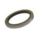 8.75 Inch Chrylser Outer Axle Seal Use W/set7 8.75 Inch Chy Outer Axle Seal Use W/SET7 Yukon Gear