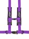 PRP 4.2 Harness