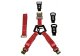 NFB Bed Mounted Tire Strap
