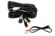 DIO Wiring Harness