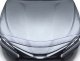 AVS Aeroskin Shield - Chrome