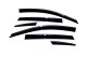 AVS Ventvisor Low Profile -Smk