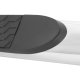 WES Nerf Bars - Platinum 4
