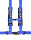 PRP 4.2 Harness
