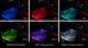 DIO LED Strip Lights