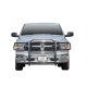 WES Sportsman Grille Guards