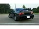 SPY Euro Tail Lights