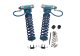 SLF Shocks