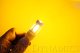 DIO Replacement Bulbs