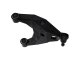 ICO Lower Control Arms